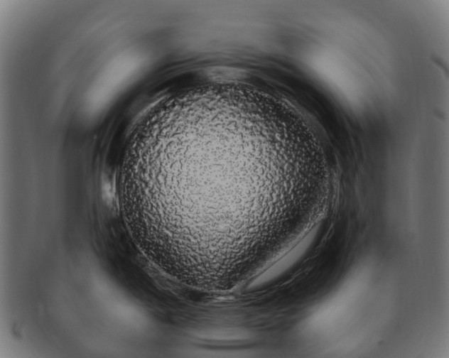 X0000091331198200708241153