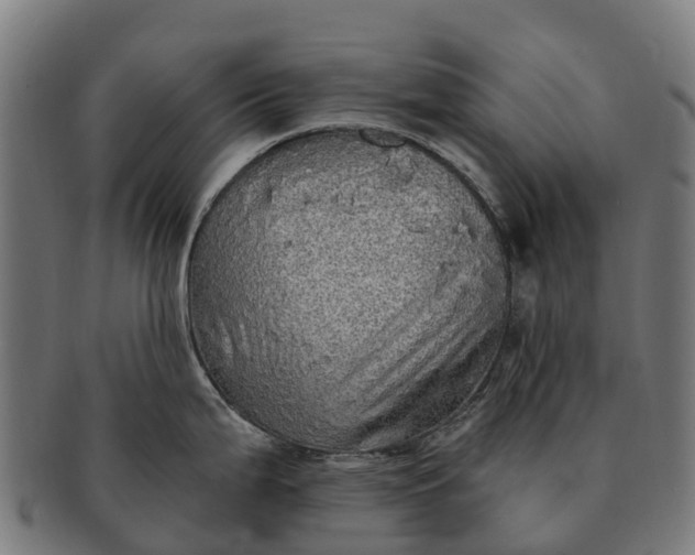 X0000091331199200708241153