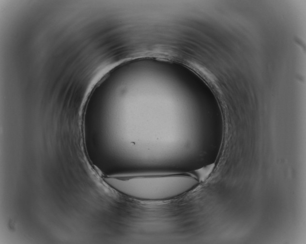 X0000091331200200708241153