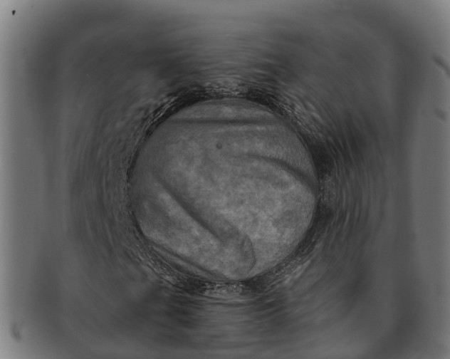 X0000091331201200708241152