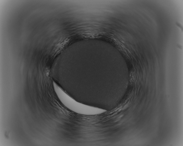 X0000091331202200708241152