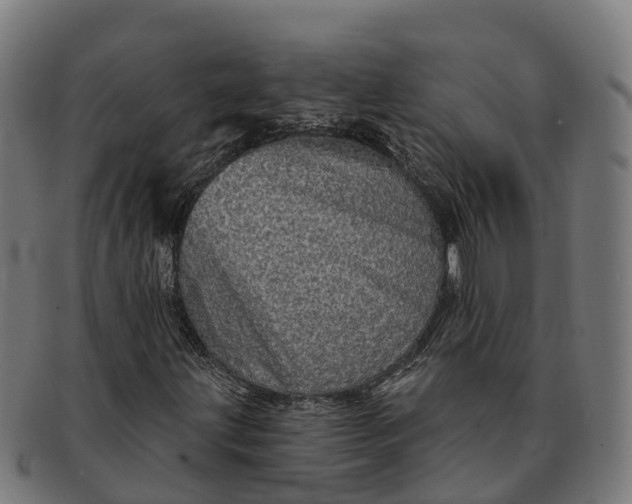 X0000091331203200708241152