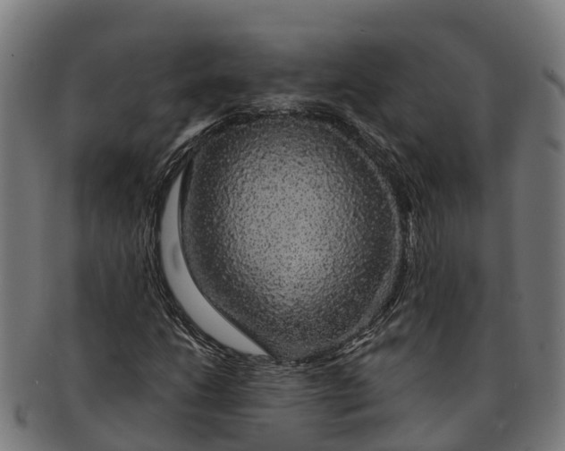 X0000091331206200708241152