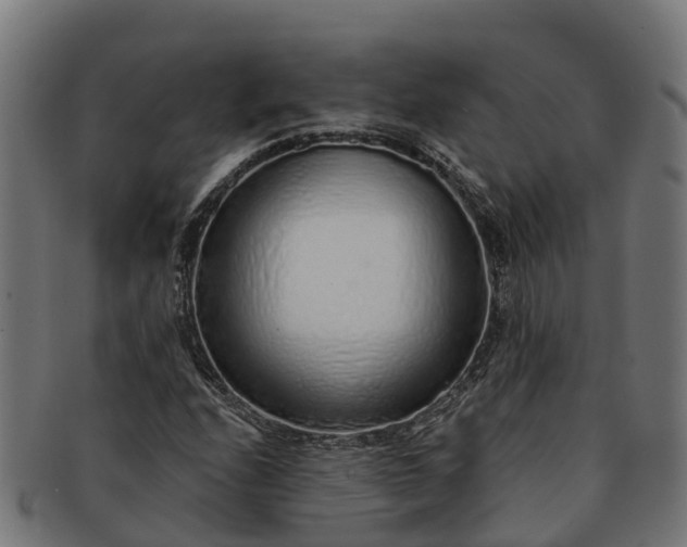 X0000091331208200708241152