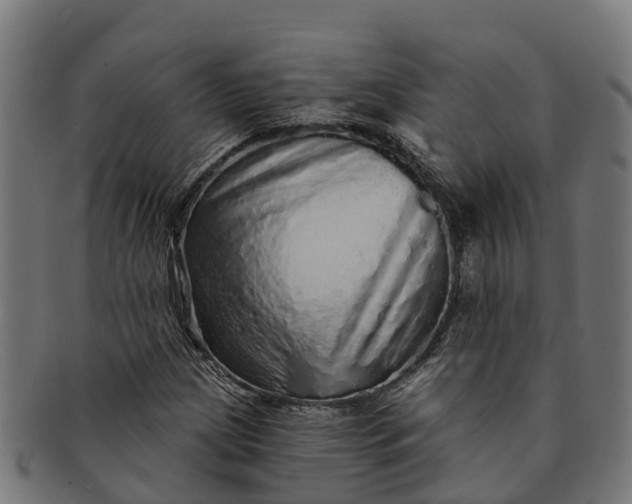 X0000091331209200708241152