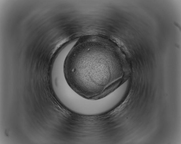 X0000091331210200708241152