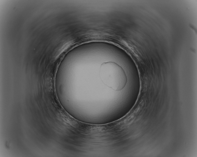 X0000091331211200708241152