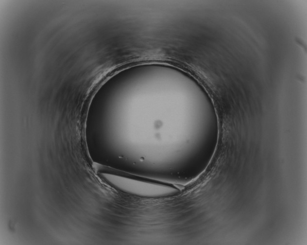 X0000091331212200708241152