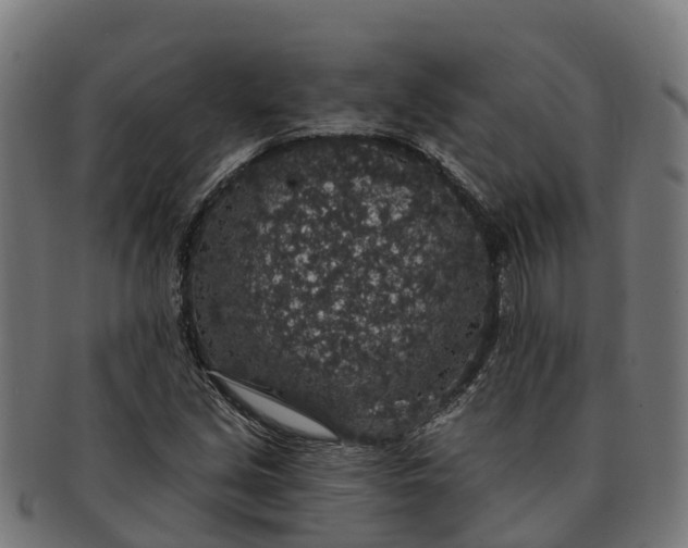 X0000091331213200708241152