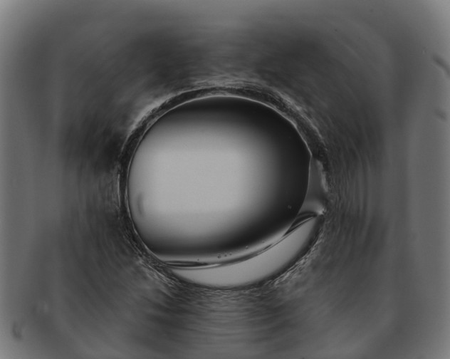 X0000091331214200708241152