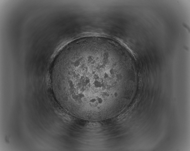 X0000091331215200708241152