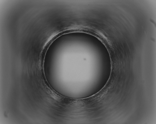 X0000091331216200708241152