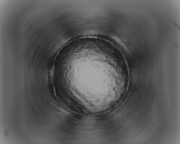 X0000091331217200708241152