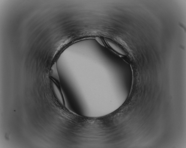 X0000091331218200708241152