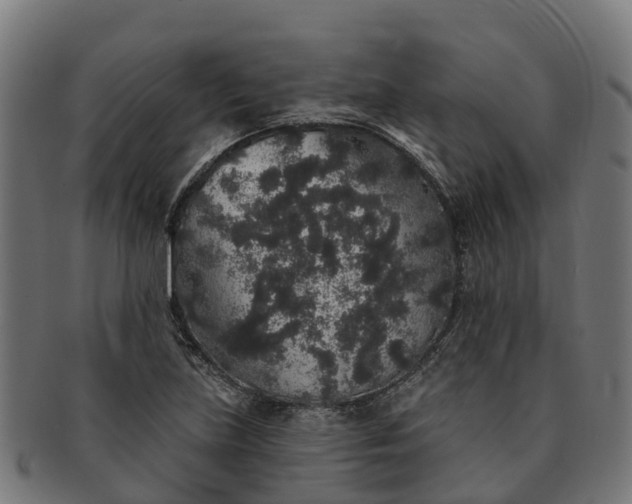 X0000091331219200708241152