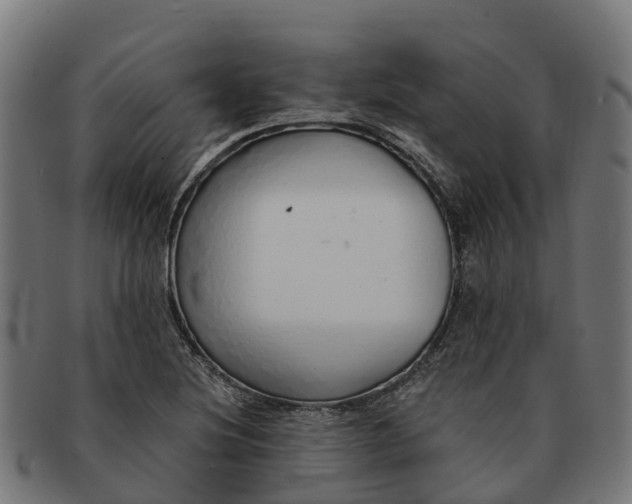 X0000091331220200708241152