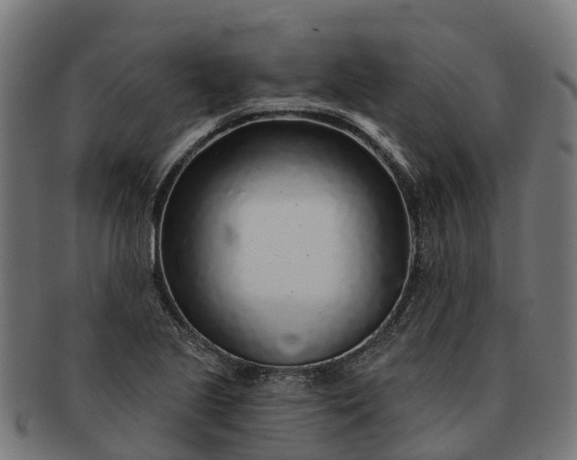 X0000091331221200708241152