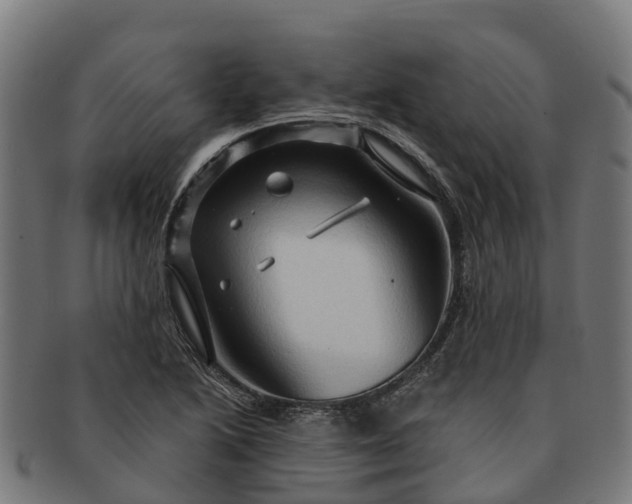 X0000091331222200708241152