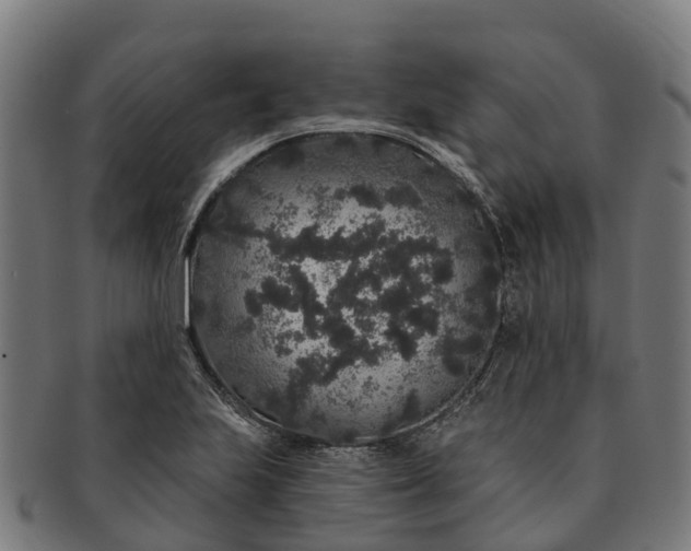 X0000091331223200708241152