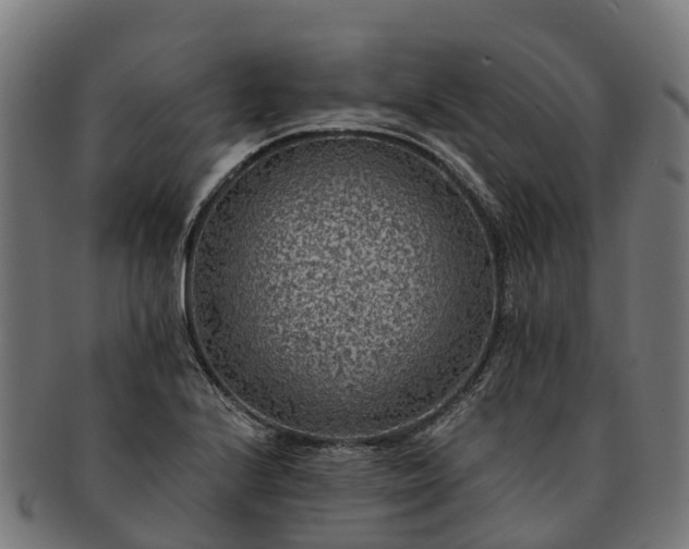 X0000091331224200708241152