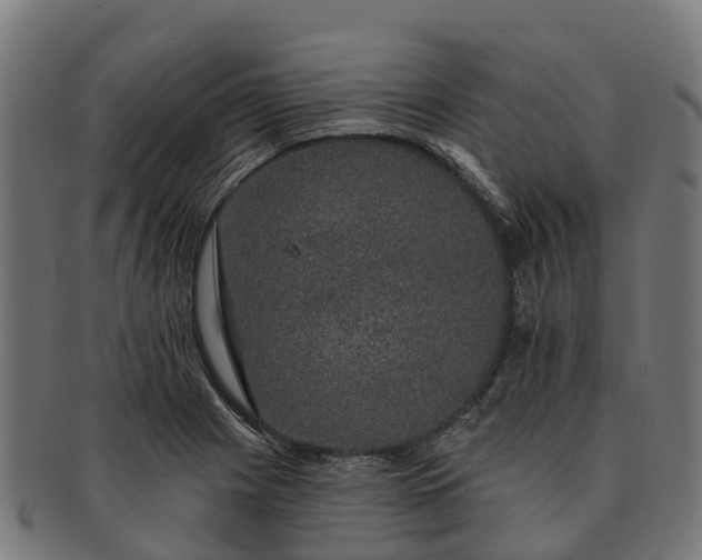 X0000091331225200708241152