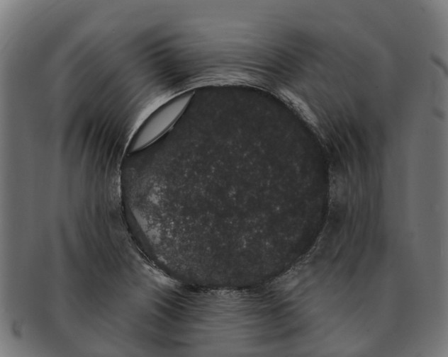 X0000091331226200708241152