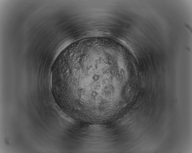 X0000091331227200708241152