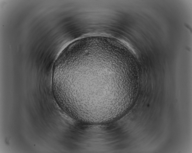 X0000091331228200708241152