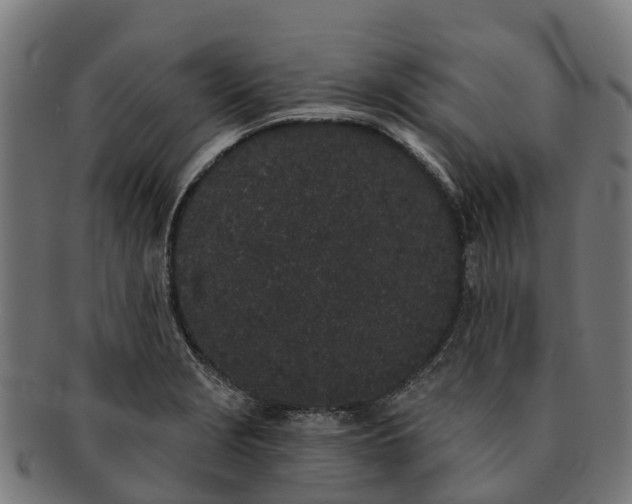 X0000091331229200708241152