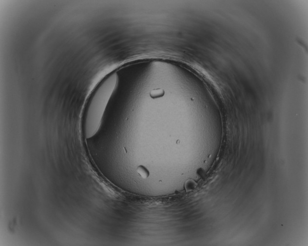 X0000091331230200708241152