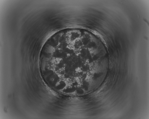 X0000091331231200708241153