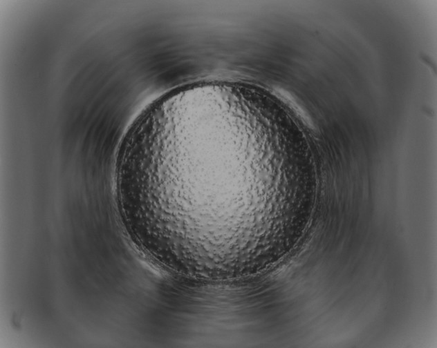 X0000091331232200708241153