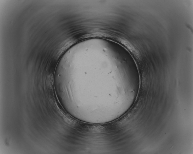 X0000091331233200708241153