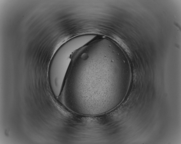 X0000091331234200708241153