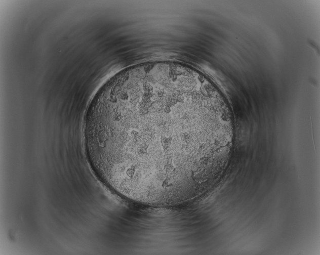 X0000091331235200708241153