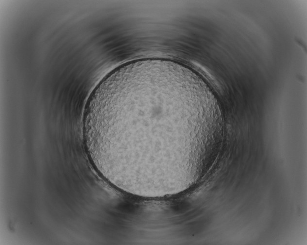 X0000091331236200708241153