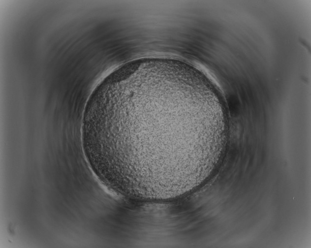 X0000091331237200708241153