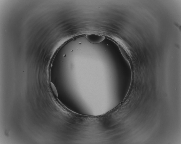 X0000091331238200708241153