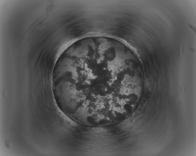 X0000091331239200708241153