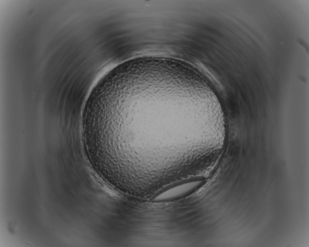 X0000091331240200708241153