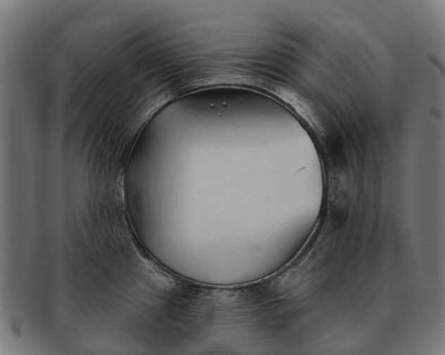 X0000091331241200708241153