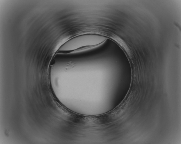 X0000091331242200708241153