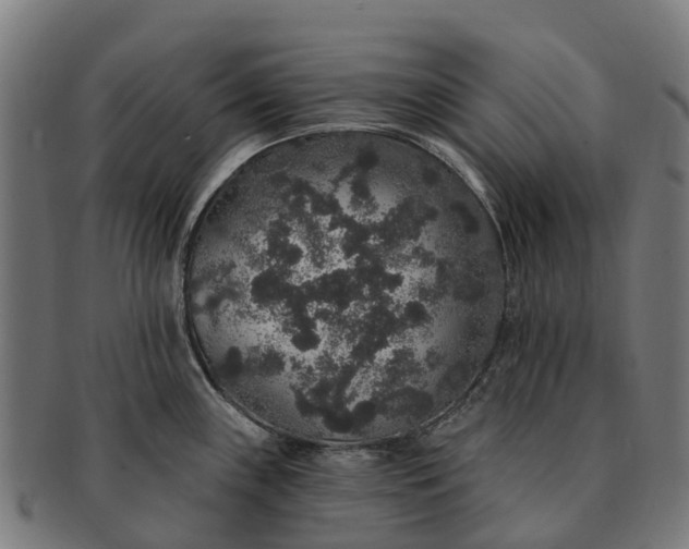 X0000091331243200708241153