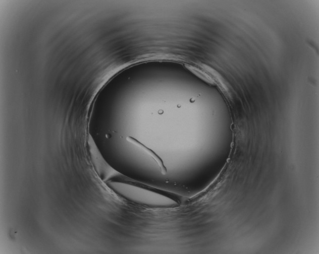 X0000091331244200708241153