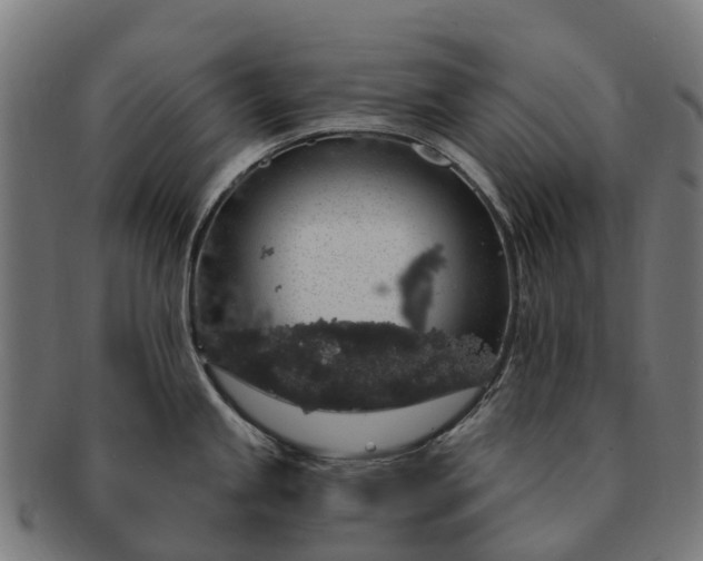 X0000091331245200708241153