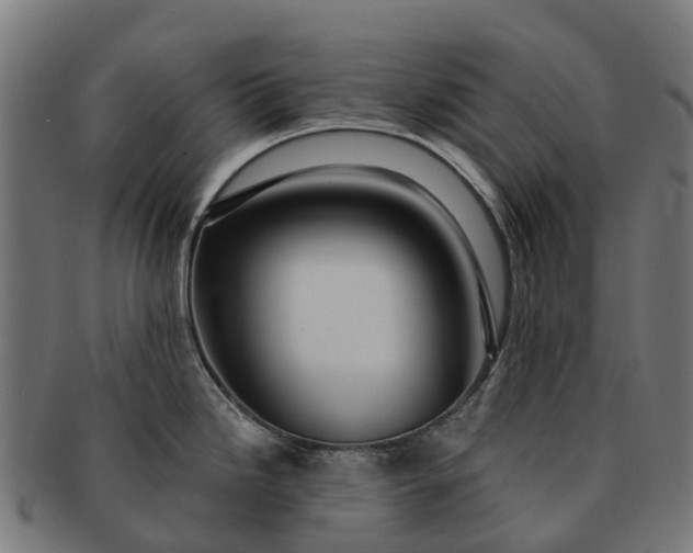 X0000091331246200708241153