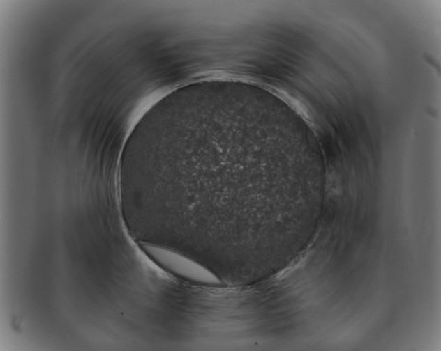 X0000091331247200708241153