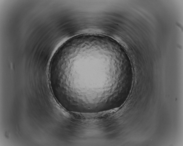 X0000091331248200708241153