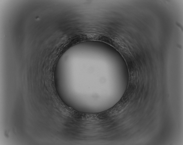 X0000091331249200708241152