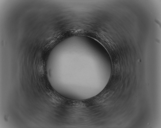 X0000091331250200708241152